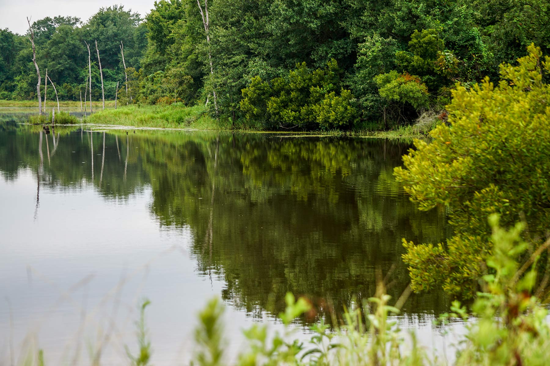 Pokey Camp Ranch property picture 31 of 40