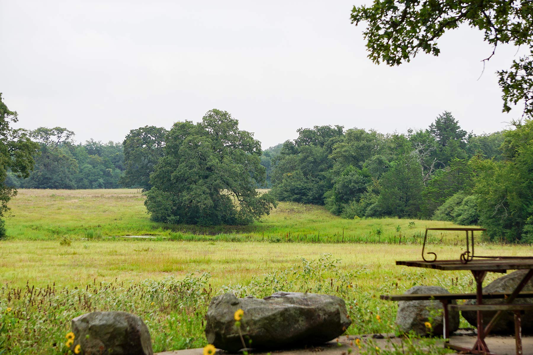 Pokey Camp Ranch property picture 32 of 40