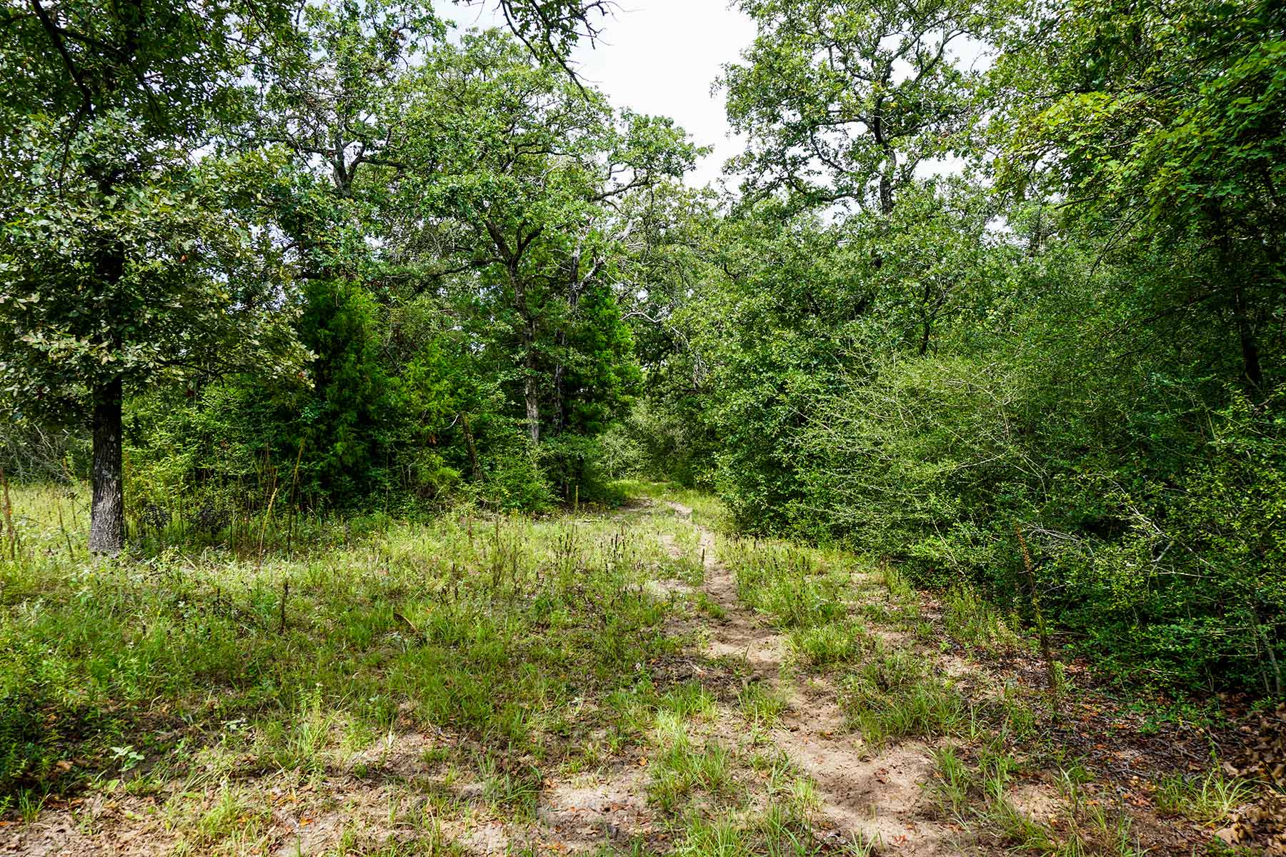 Pokey Camp Ranch property picture 34 of 40