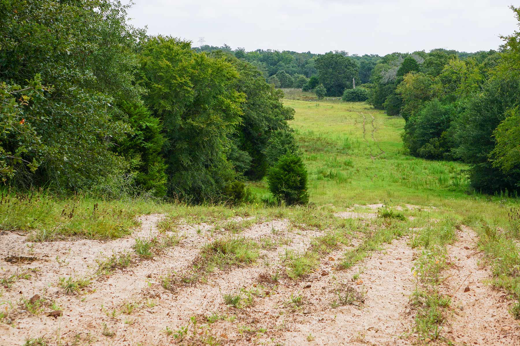 Pokey Camp Ranch property picture 37 of 40