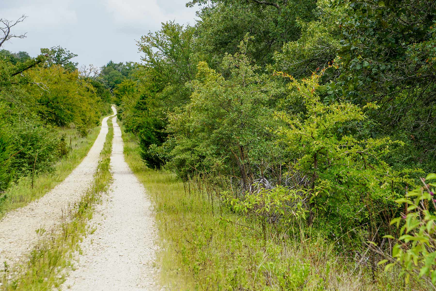Pokey Camp Ranch property picture 38 of 40