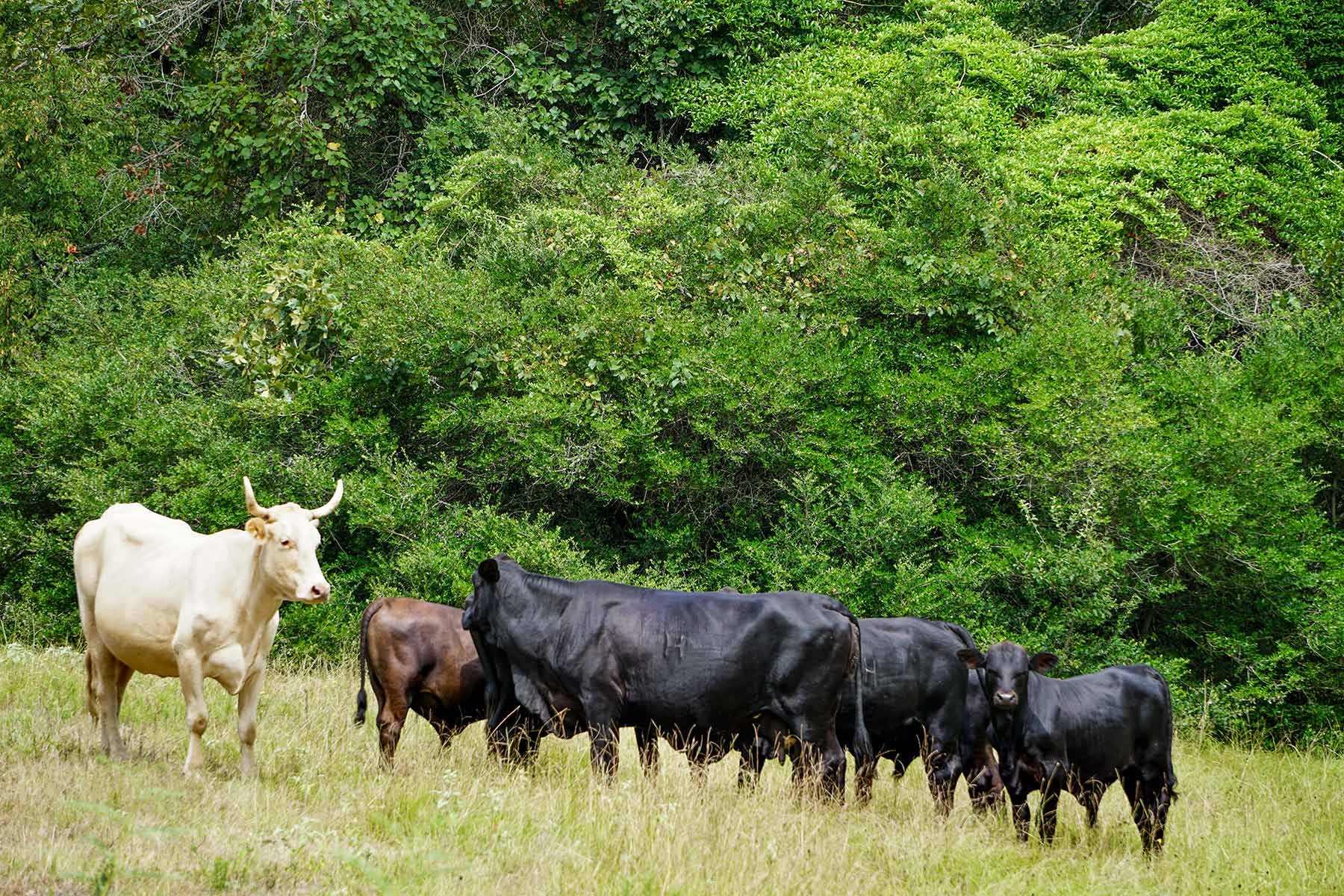 Pokey Camp Ranch property picture 39 of 40