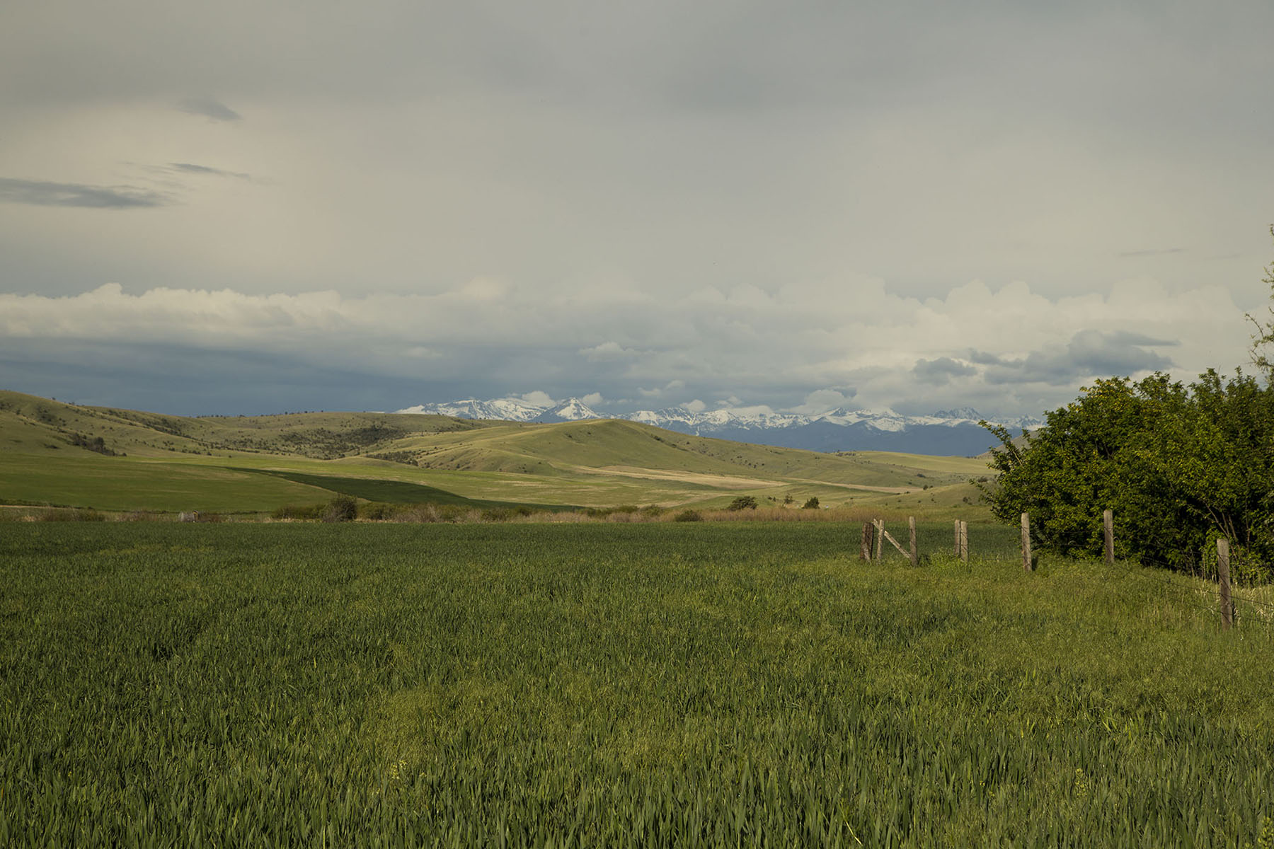 Elk Creek 686 property picture 18 of 18