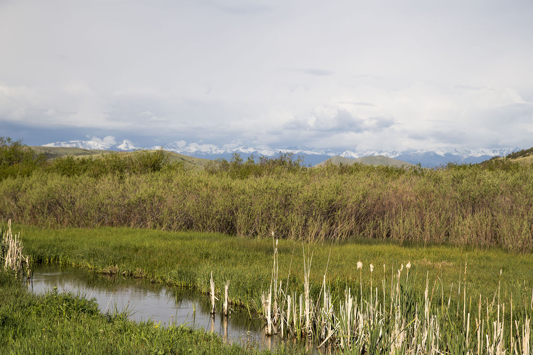 Elk Creek 686 property picture 8 of 18