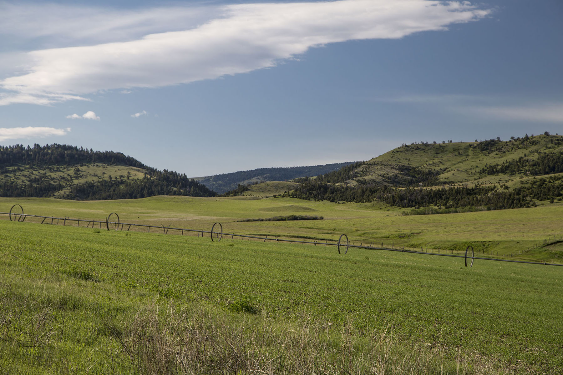 Elk Creek 686 property picture 10 of 18