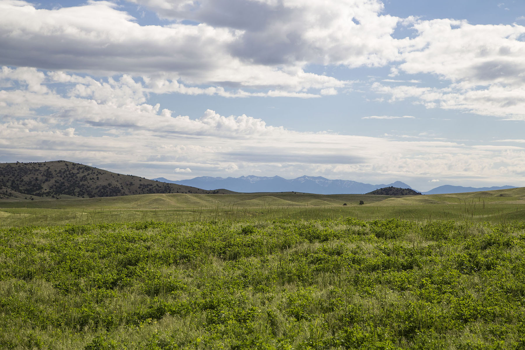 Elk Creek 686 property picture 5 of 18