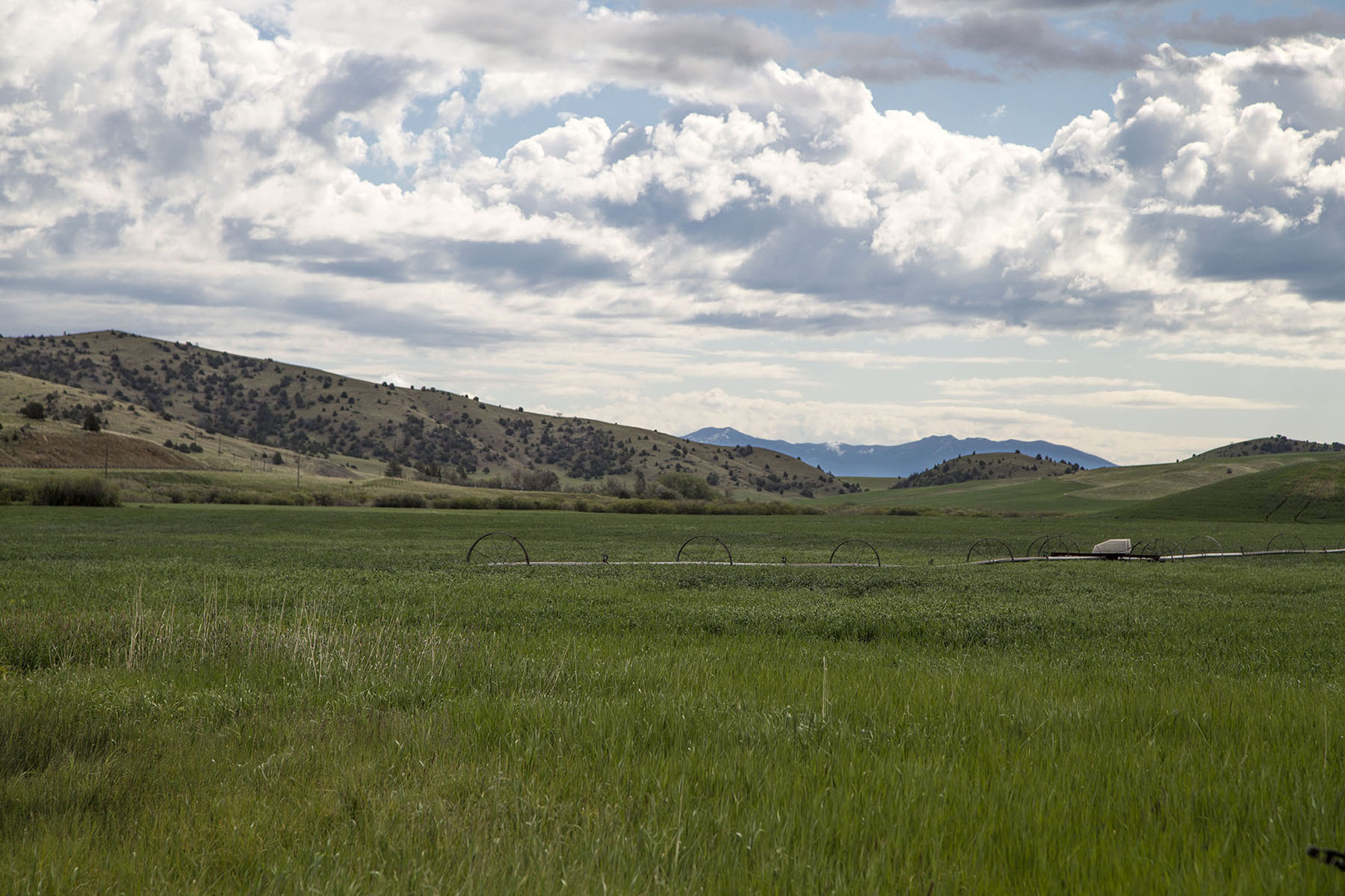 Elk Creek 686 property picture 17 of 18