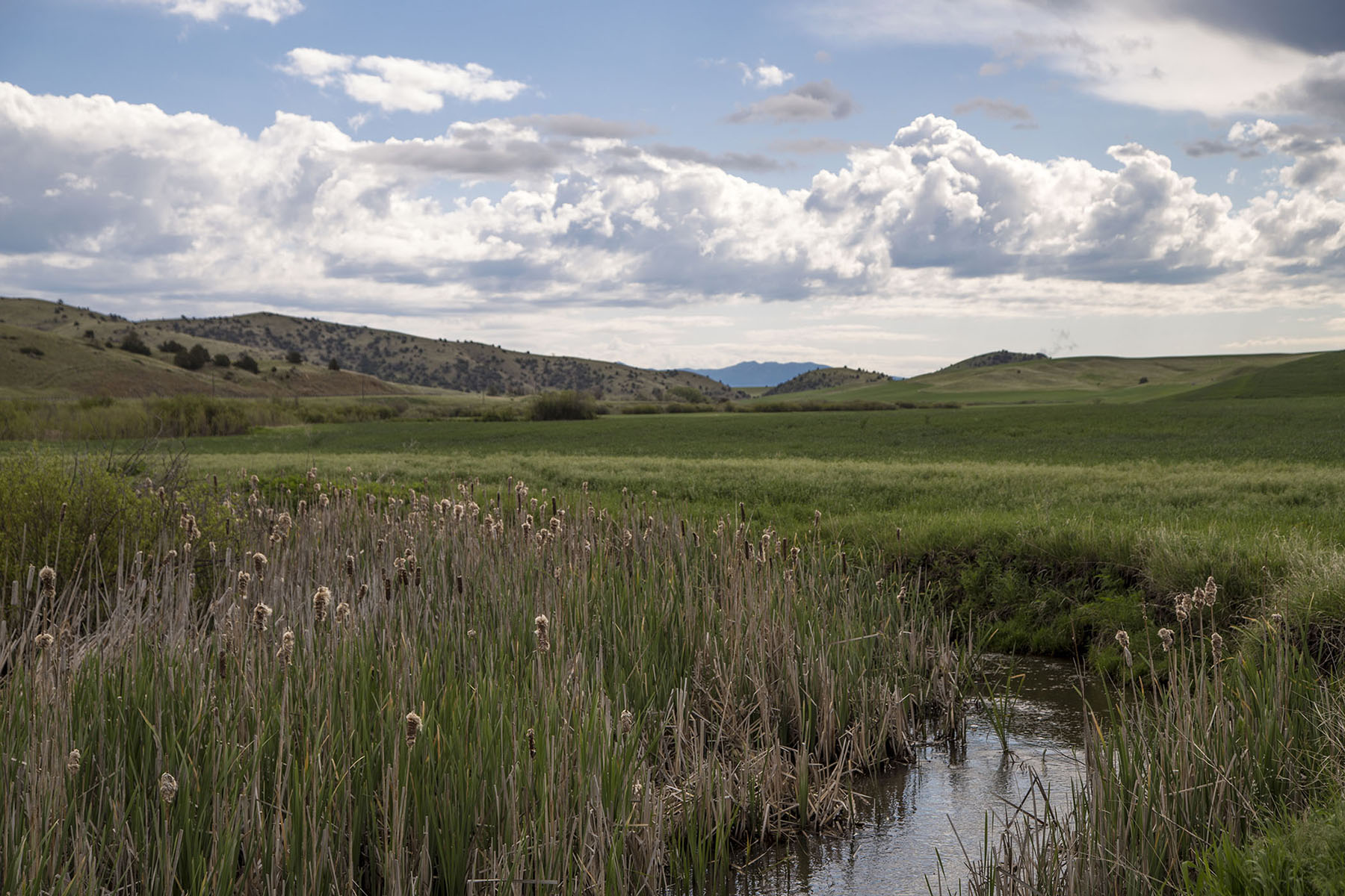 Elk Creek 686 property picture 9 of 18