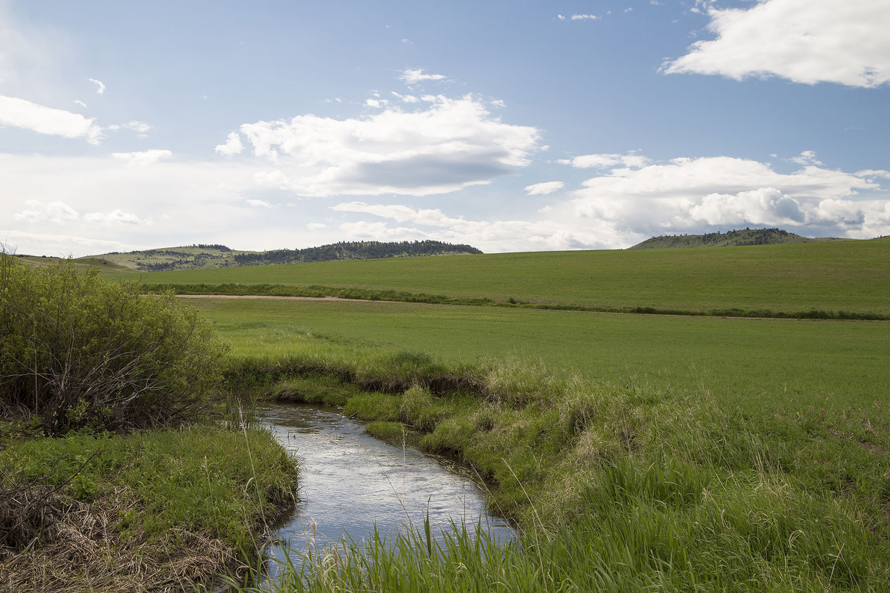 Elk Creek 686 property picture 2 of 18