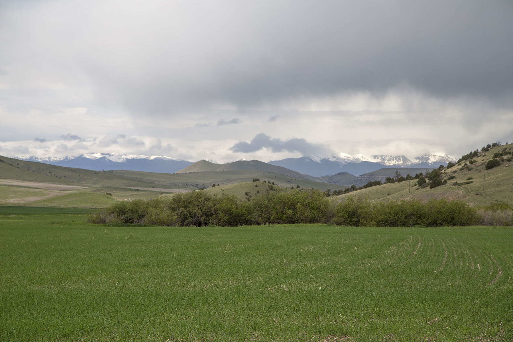 Elk Creek 686 property picture 13 of 18