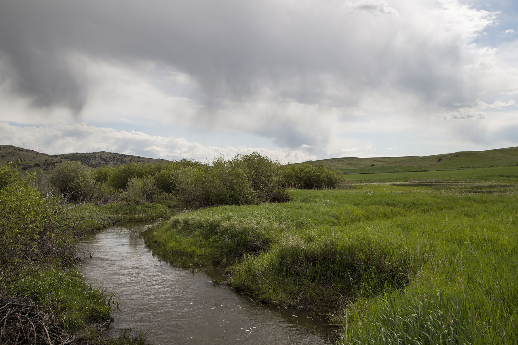 Elk Creek 686 property picture 15 of 18