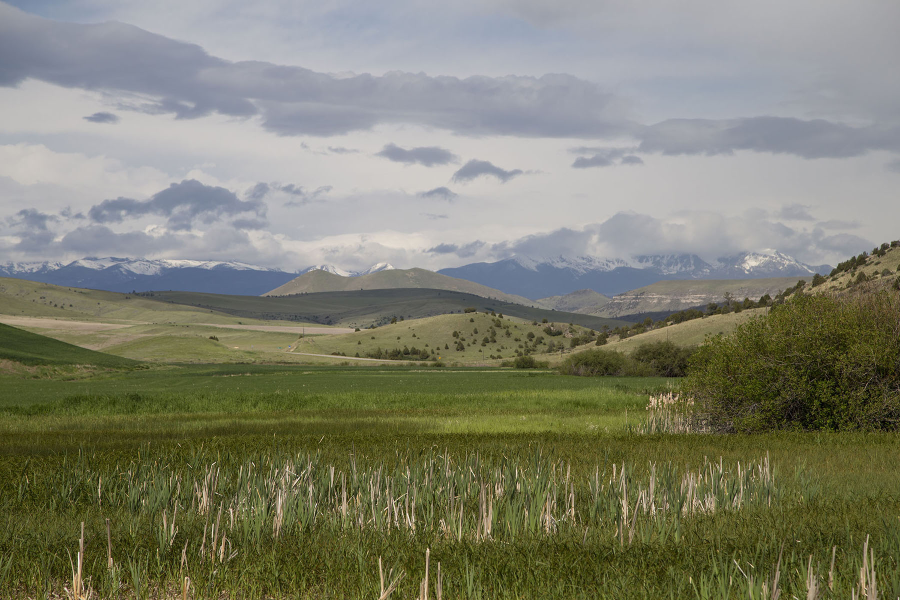 Elk Creek 686 property picture 4 of 18