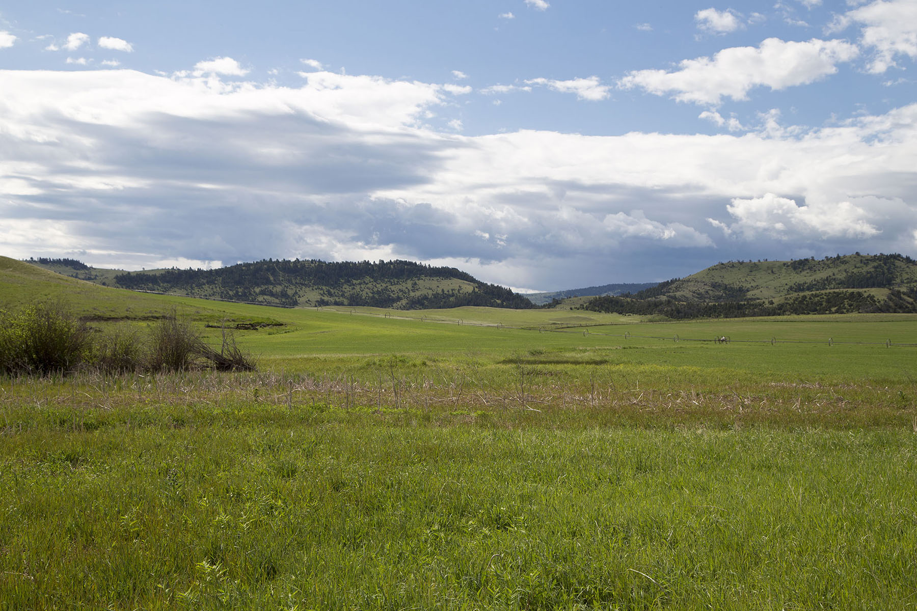 Elk Creek 686 property picture 12 of 18