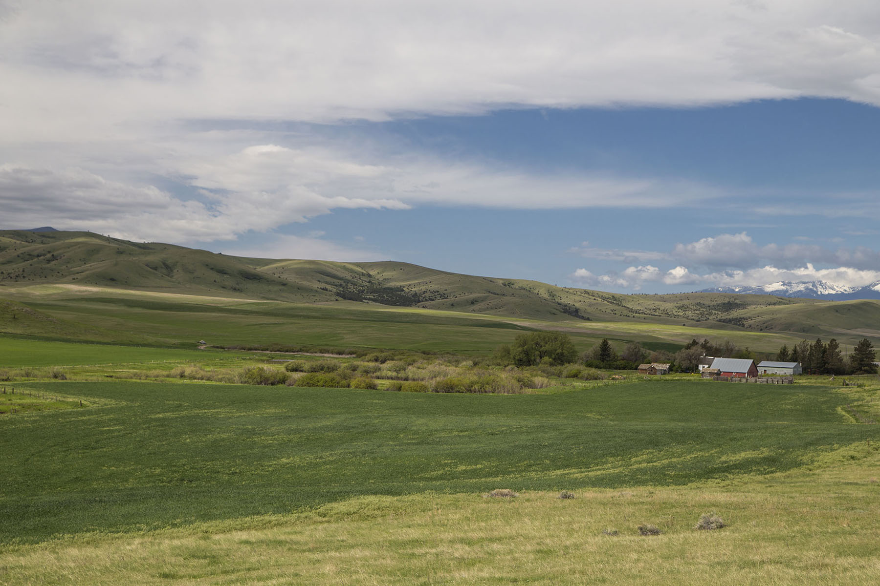 Elk Creek 686 property picture 14 of 18