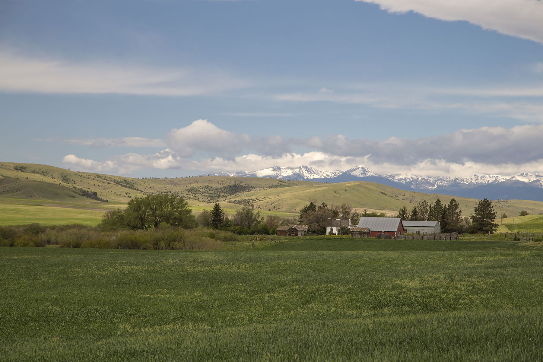 Elk Creek 686 property picture 3 of 18