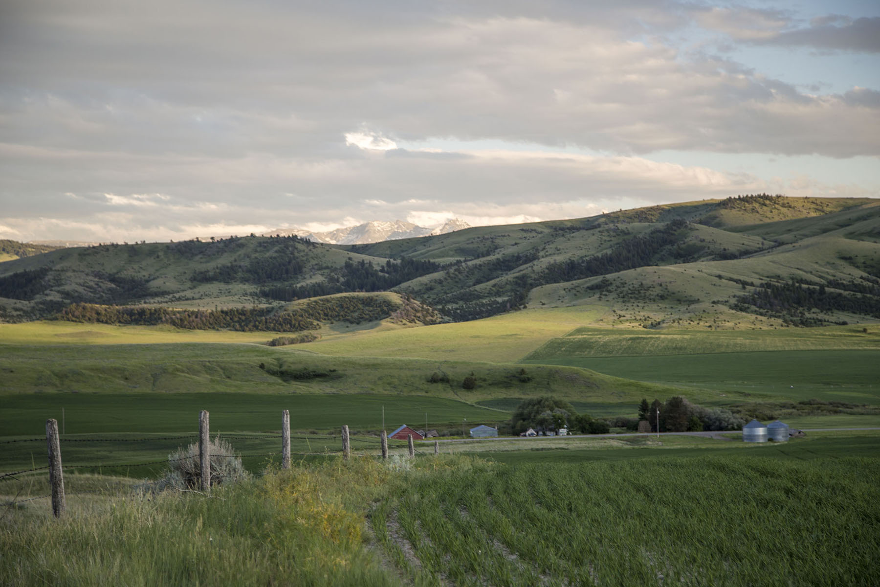 Elk Creek 686 property picture 11 of 18