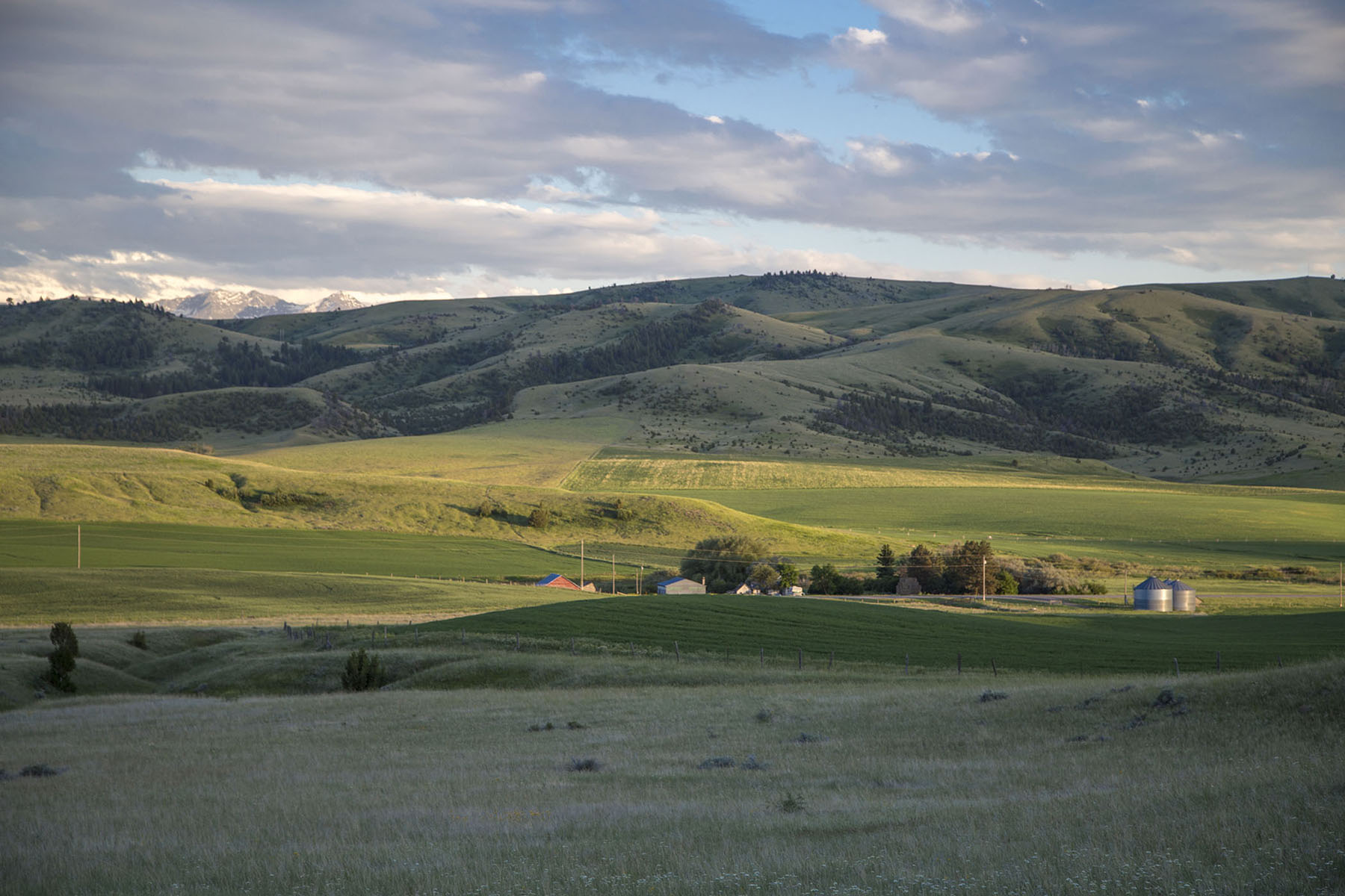 Elk Creek 686 property picture 6 of 18