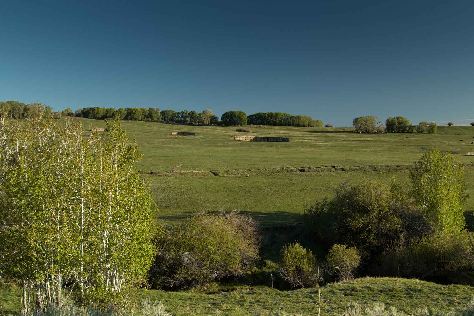 Half Diamond Horseshoe property picture 9 of 59