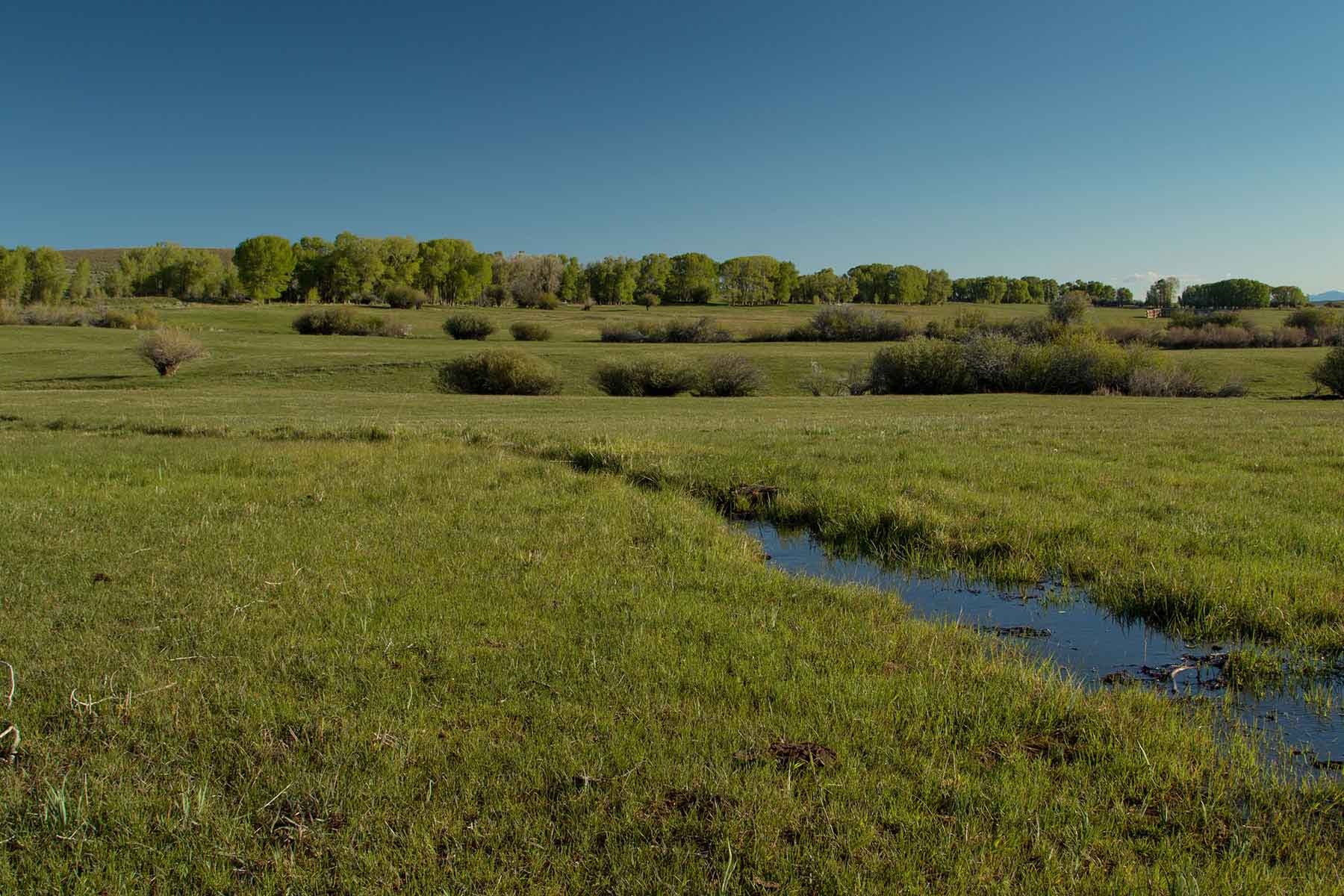 Half Diamond Horseshoe property picture 11 of 59