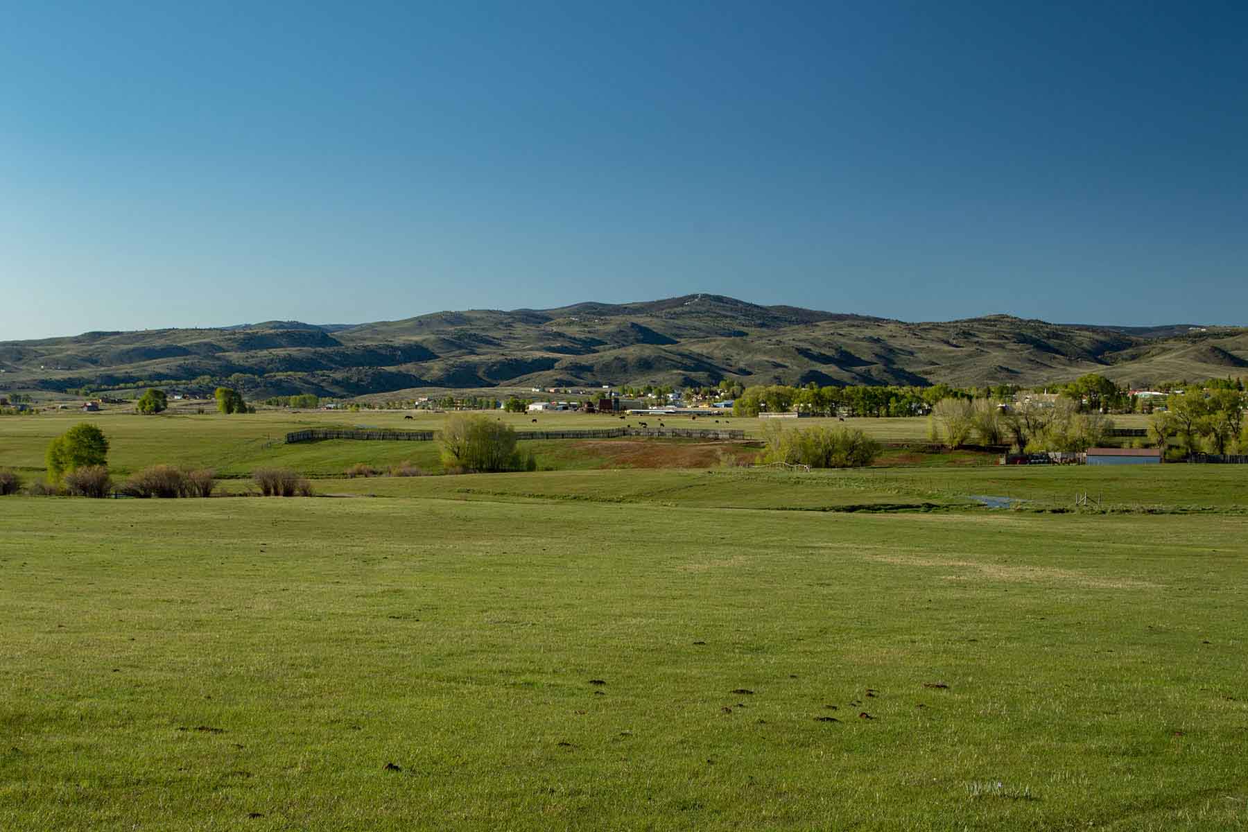 Half Diamond Horseshoe property picture 14 of 59