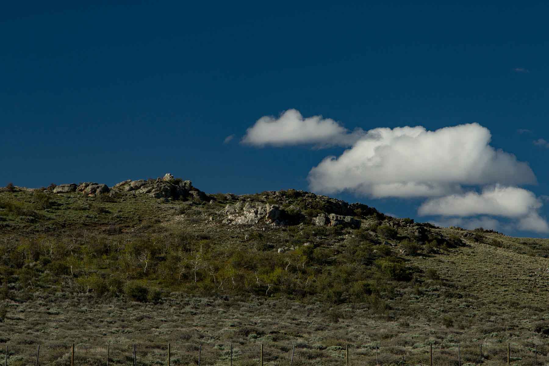 Half Diamond Horseshoe property picture 20 of 59