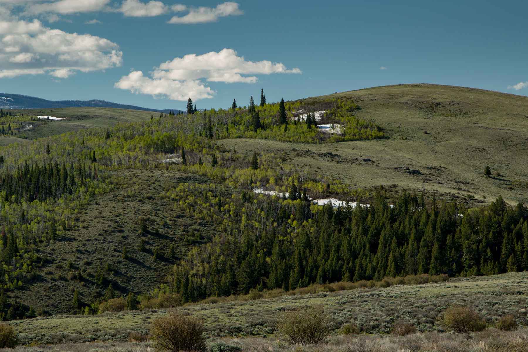 Half Diamond Horseshoe property picture 21 of 59