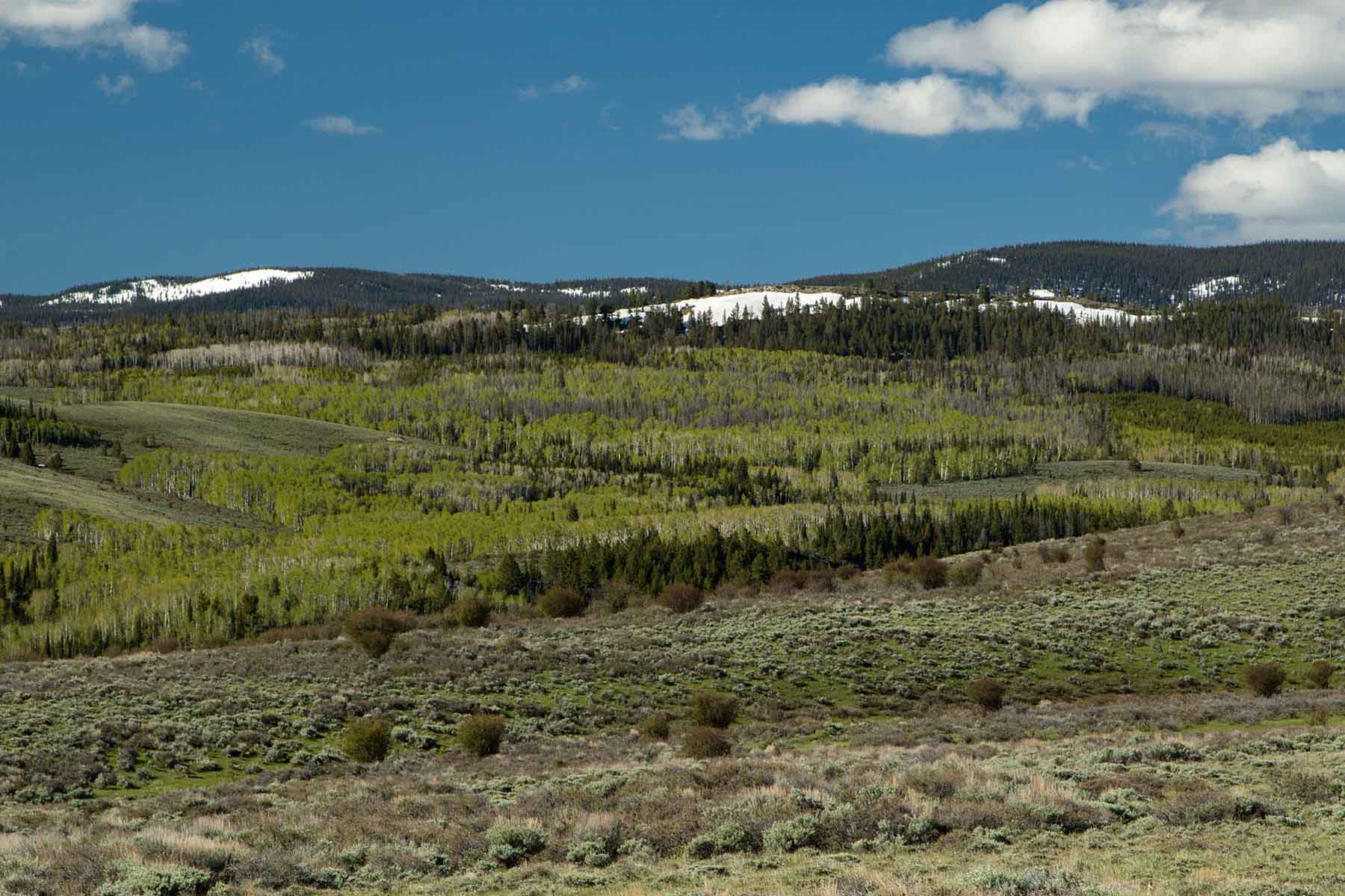 Half Diamond Horseshoe property picture 22 of 59