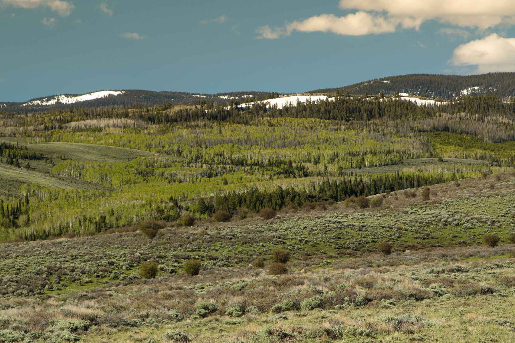 Half Diamond Horseshoe property picture 23 of 59