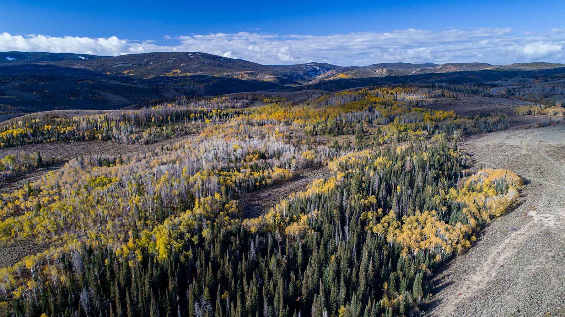 Half Diamond Horseshoe property picture 33 of 59