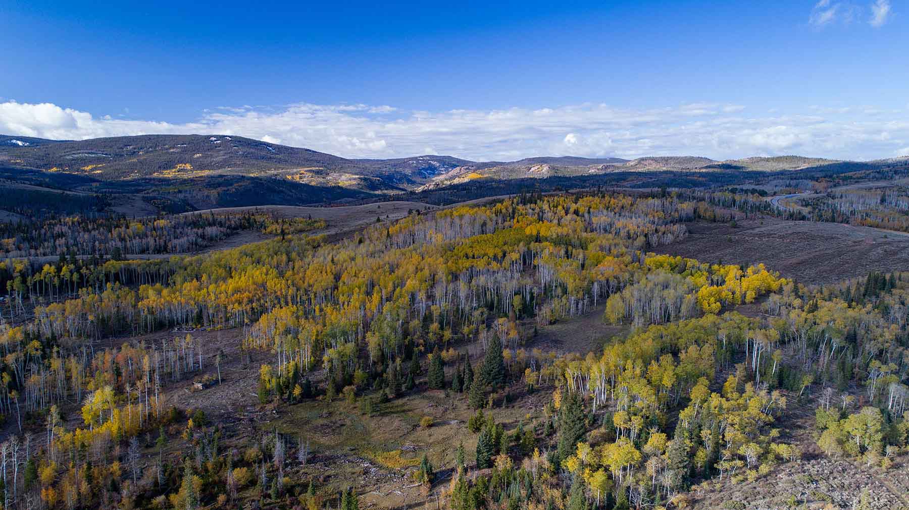 Half Diamond Horseshoe property picture 32 of 59