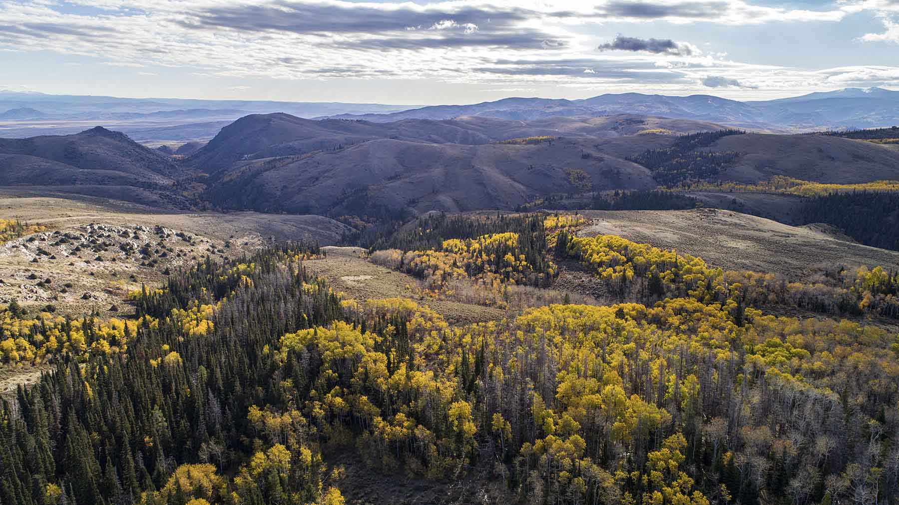 Half Diamond Horseshoe property picture 31 of 59