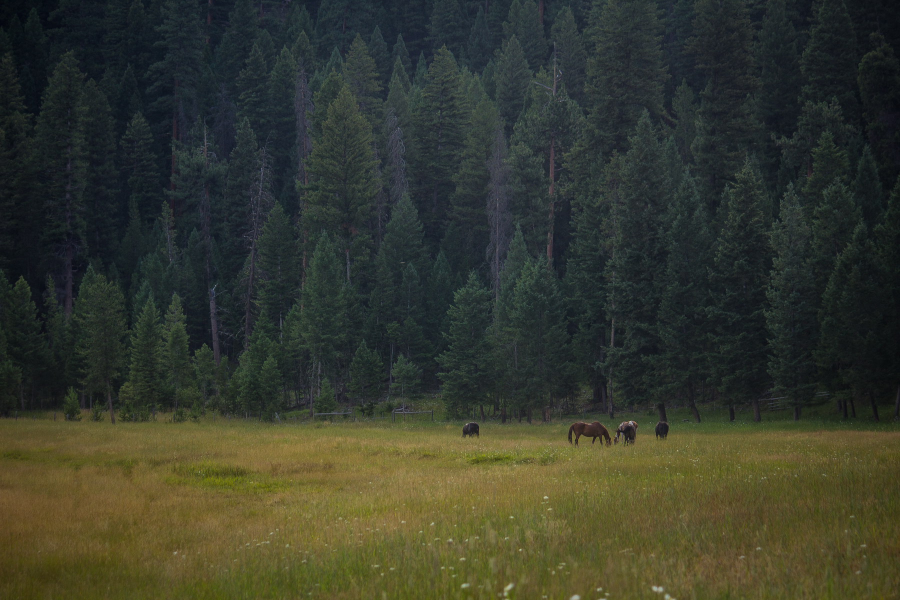 Piquett Creek Ranch property picture 12 of 19