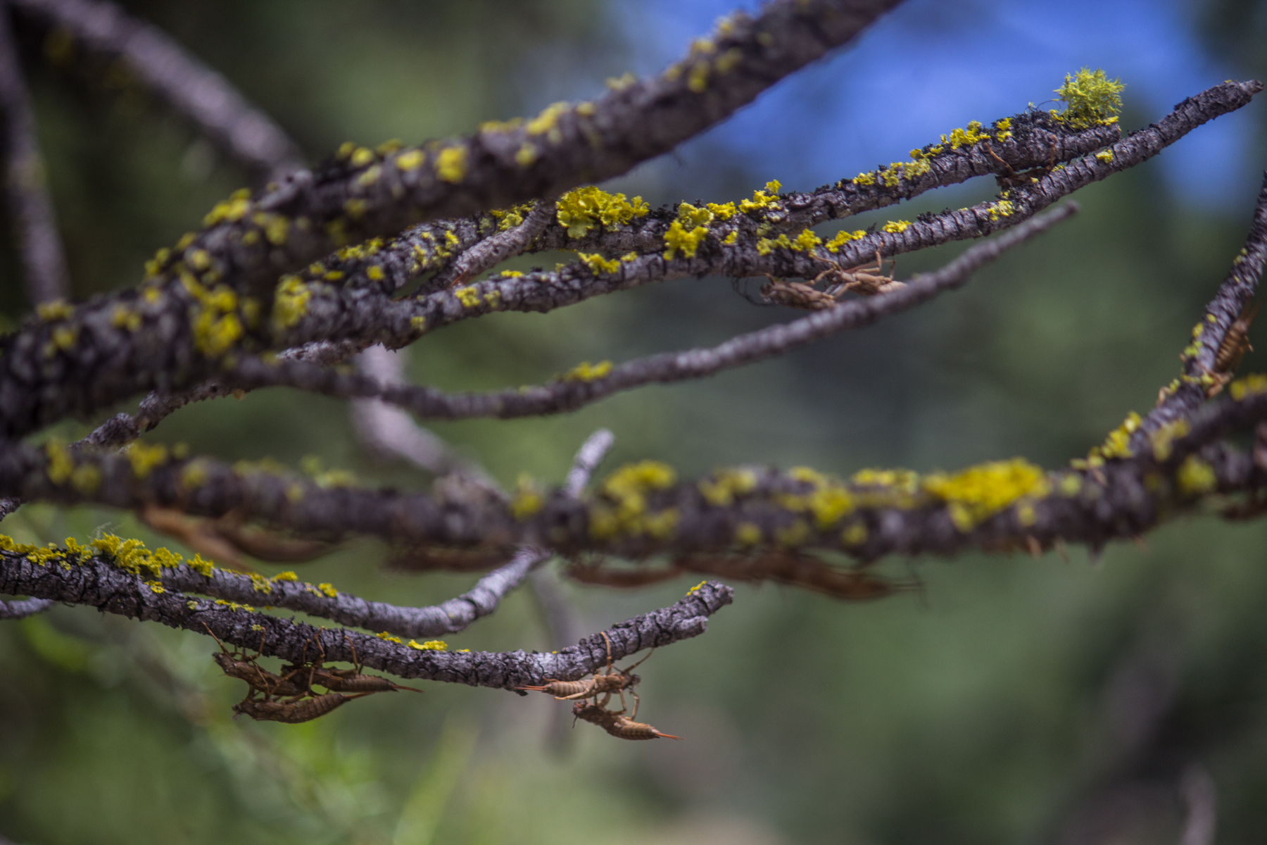 Piquett Creek Ranch property picture 16 of 19