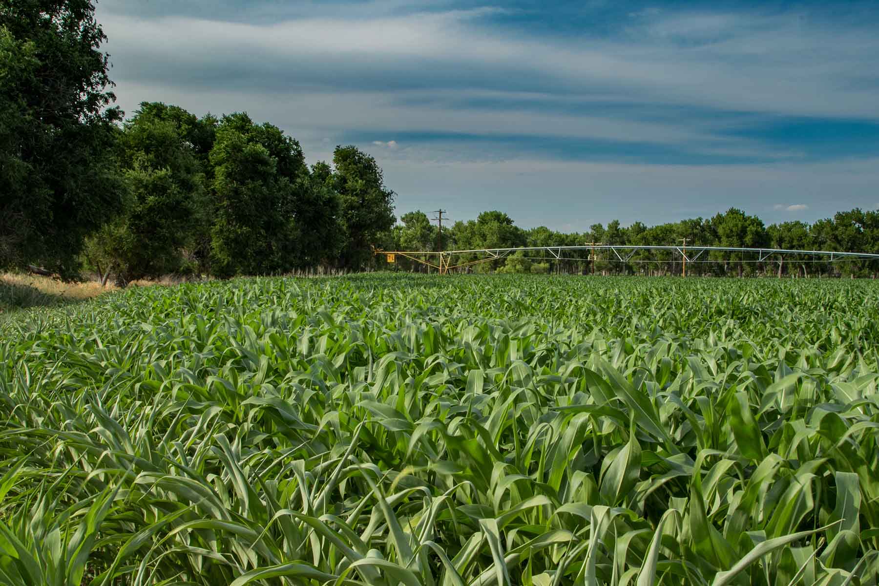 North Platte River Ranch property picture 3 of 23