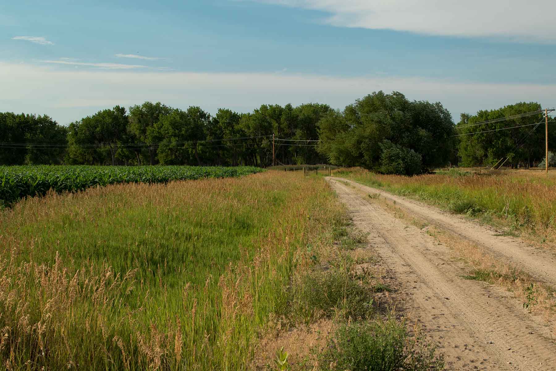 North Platte River Ranch property picture 16 of 23
