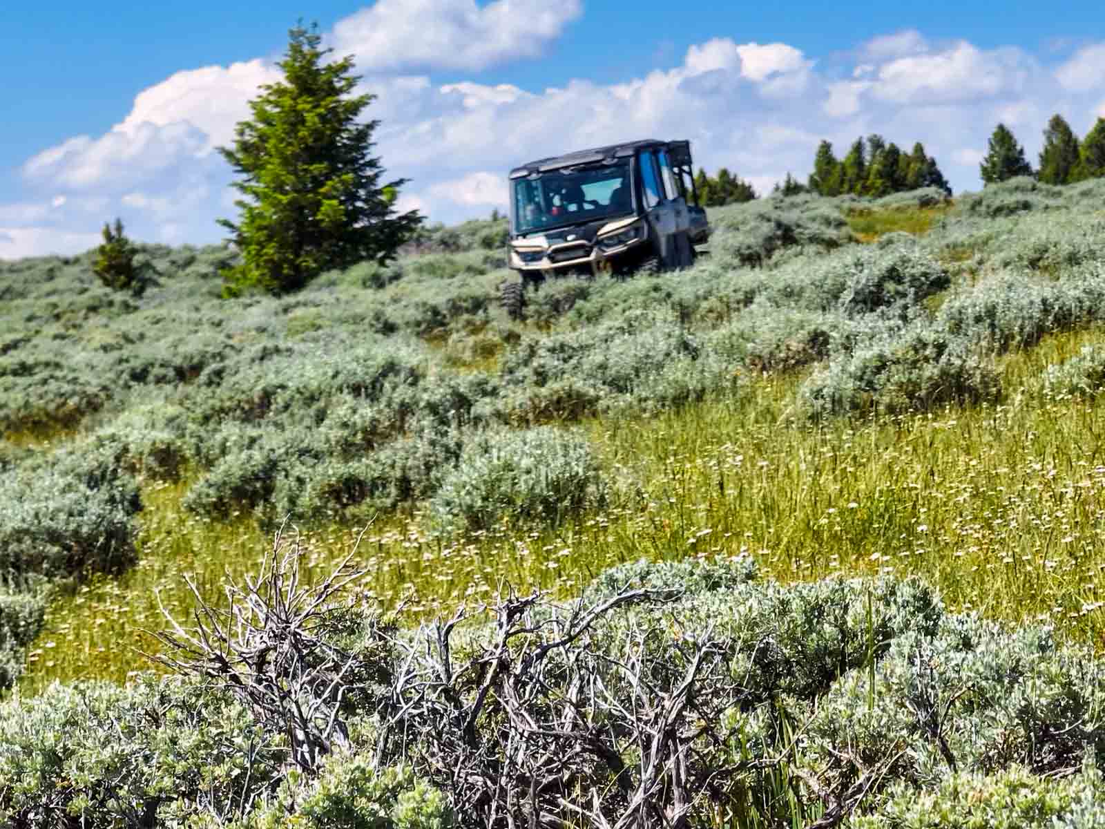 Indart Ranch property picture 22 of 50