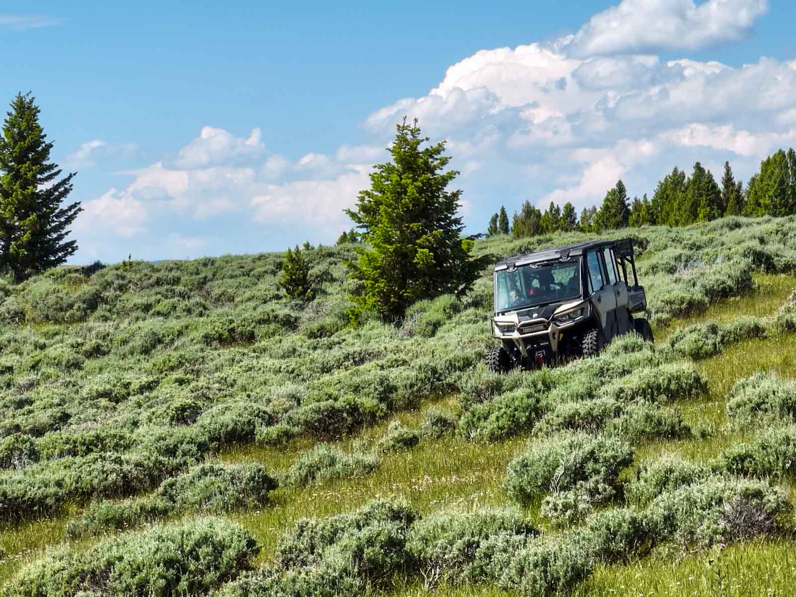 Indart Ranch property picture 23 of 50