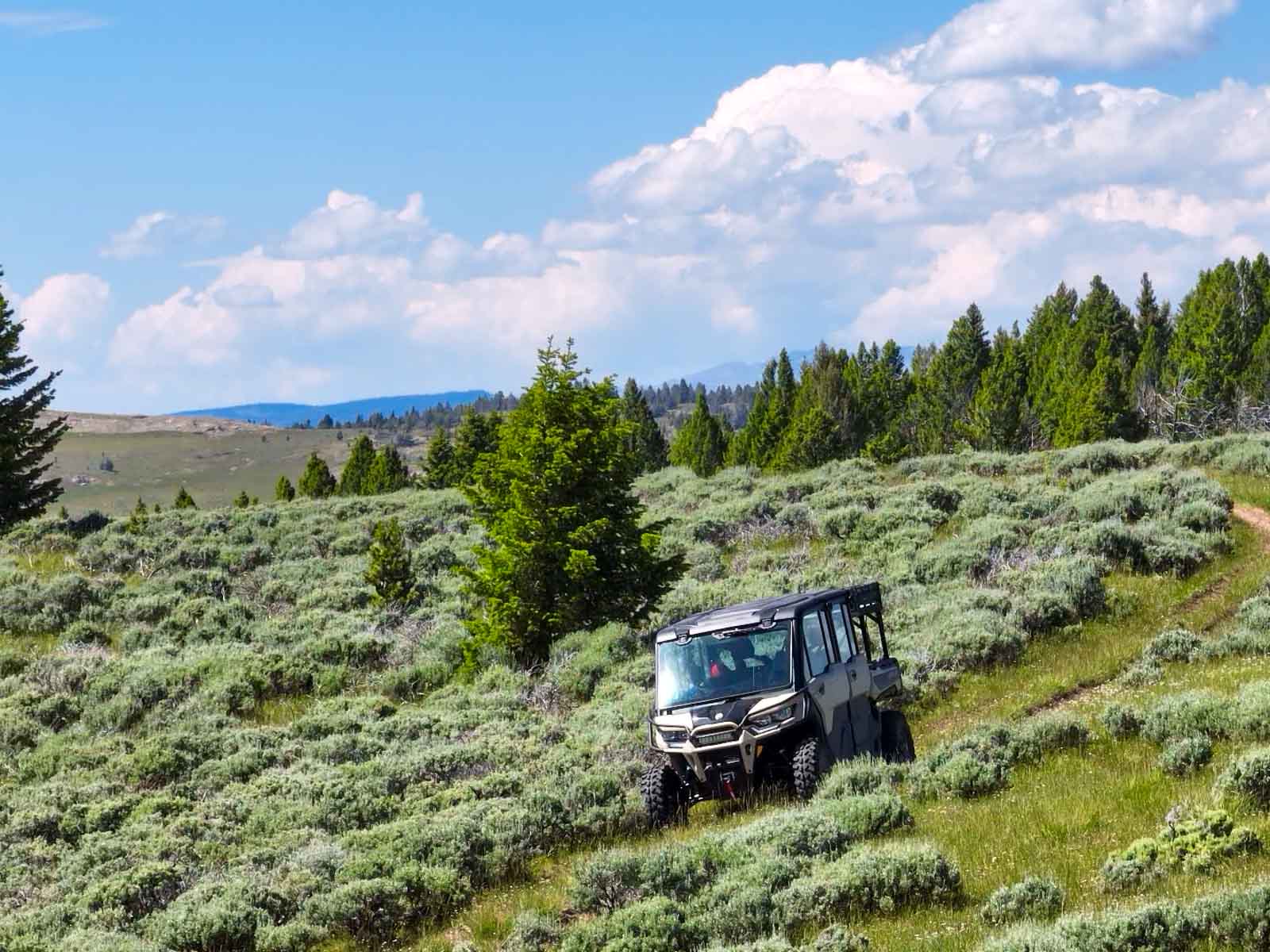 Indart Ranch property picture 24 of 50