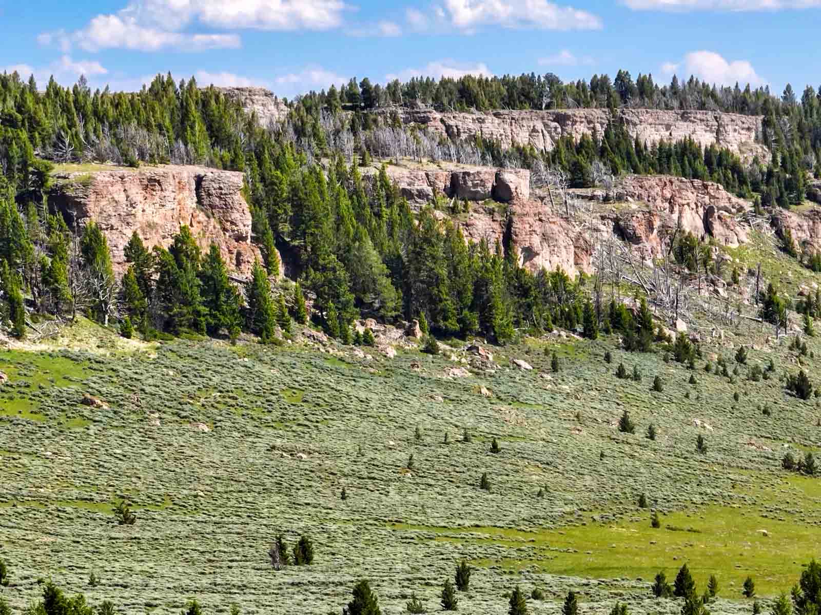 Indart Ranch property picture 34 of 50