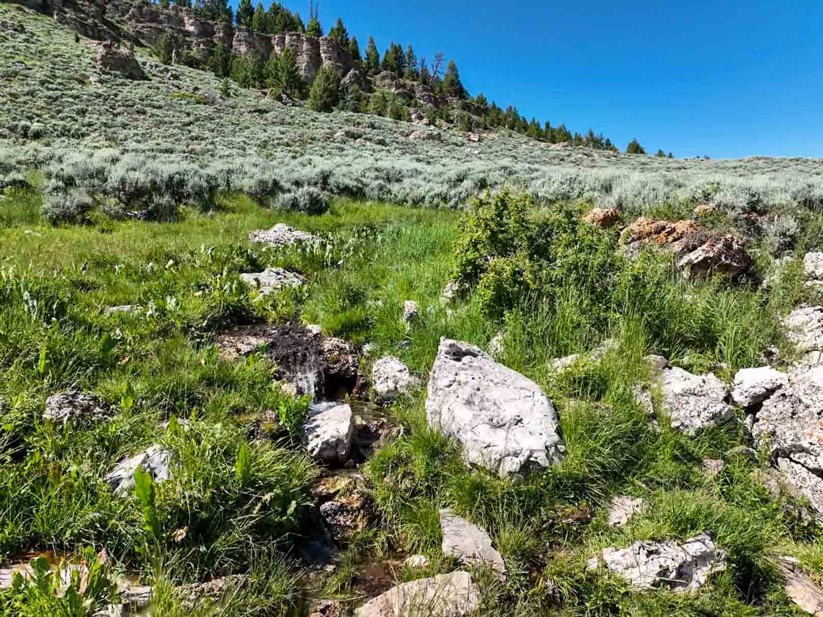 Indart Ranch property picture 45 of 50