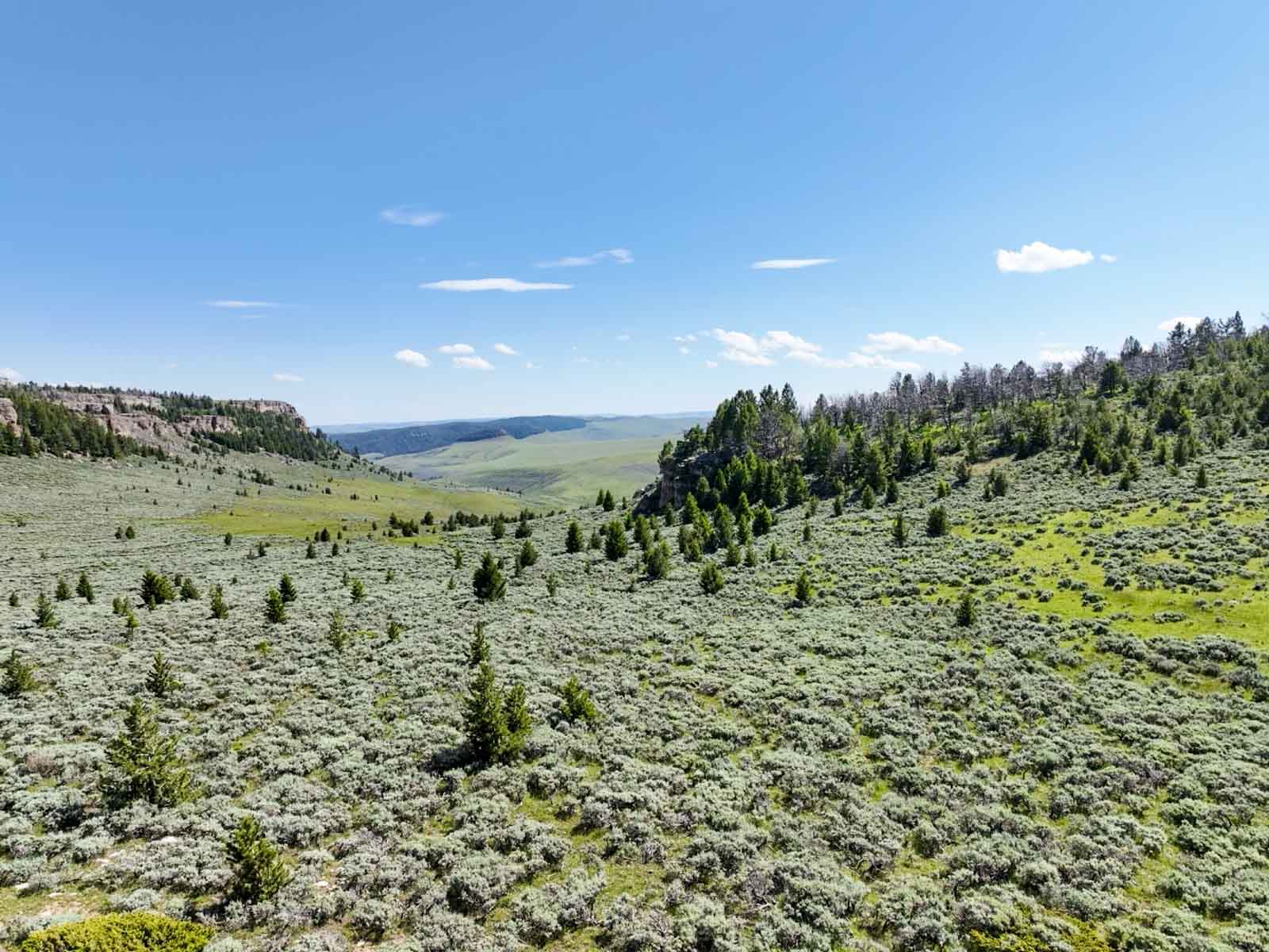 Indart Ranch property picture 36 of 50