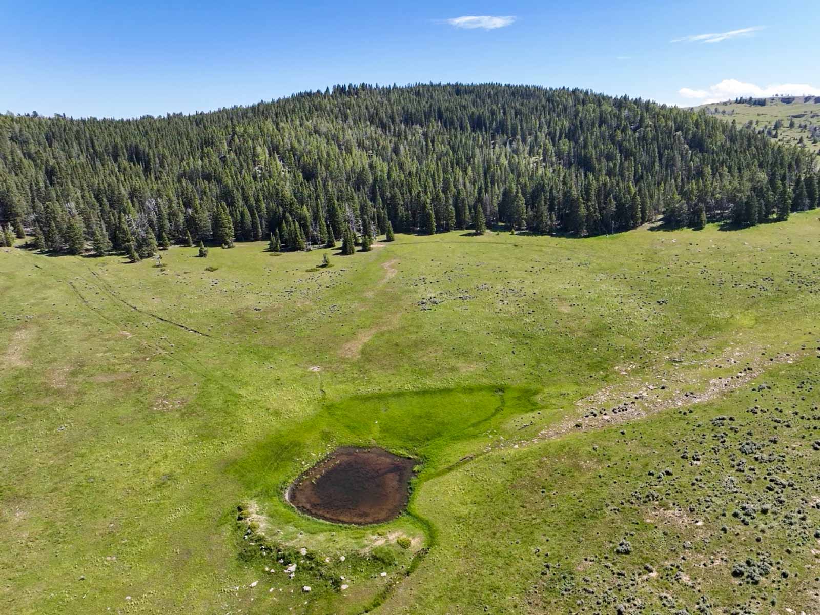 Indart Ranch property picture 15 of 50