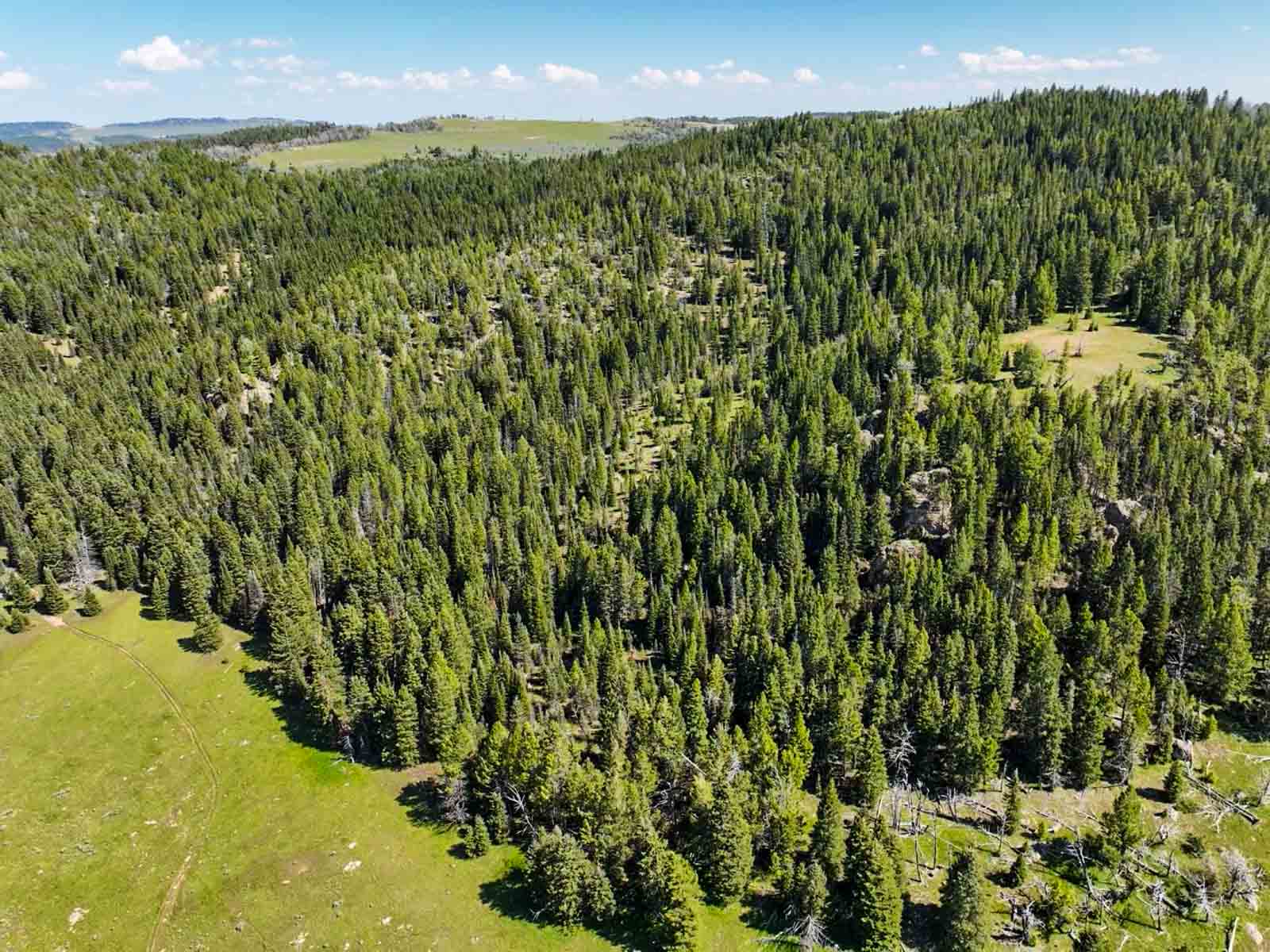 Indart Ranch property picture 18 of 50