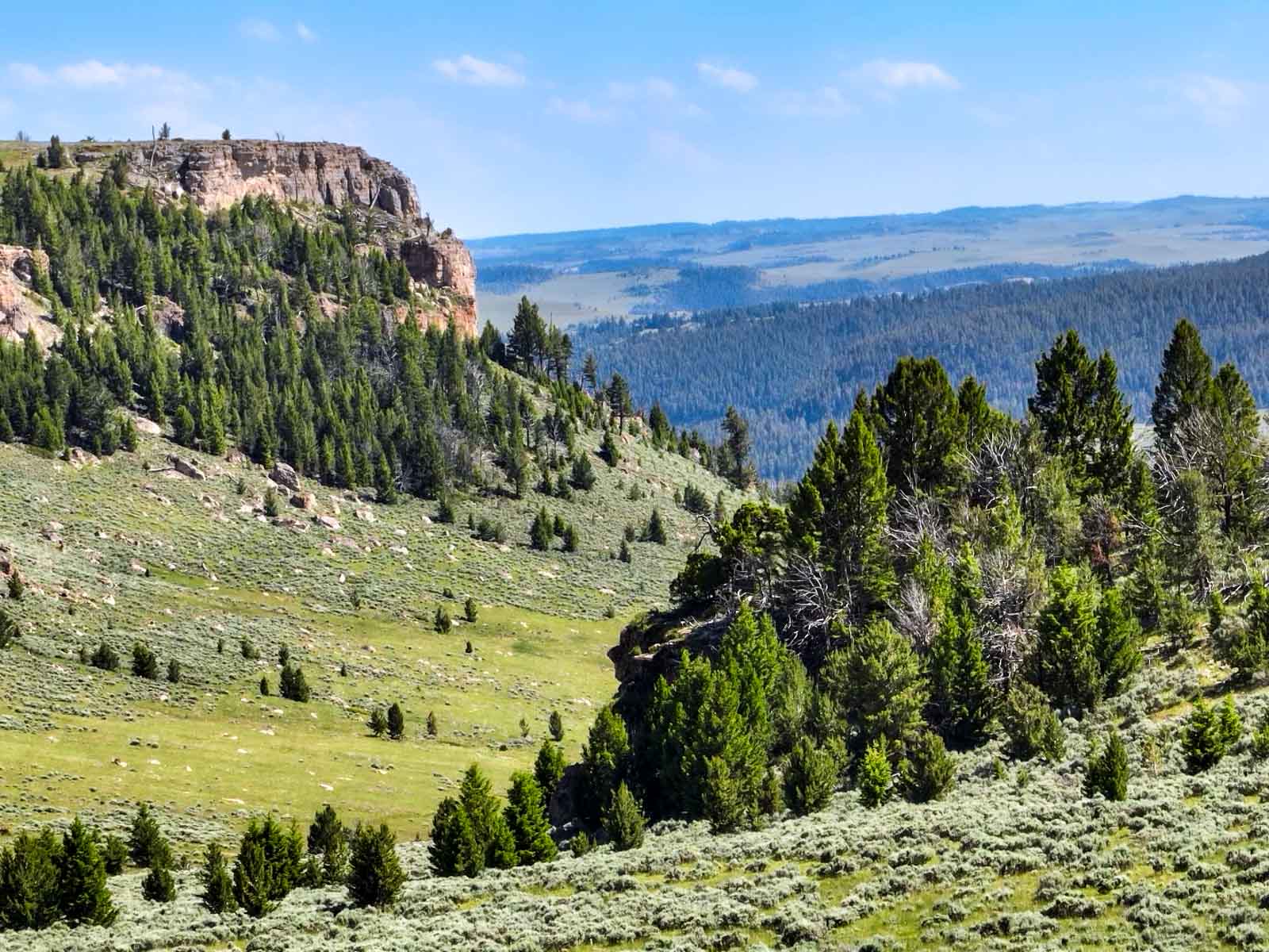 Indart Ranch property picture 35 of 50