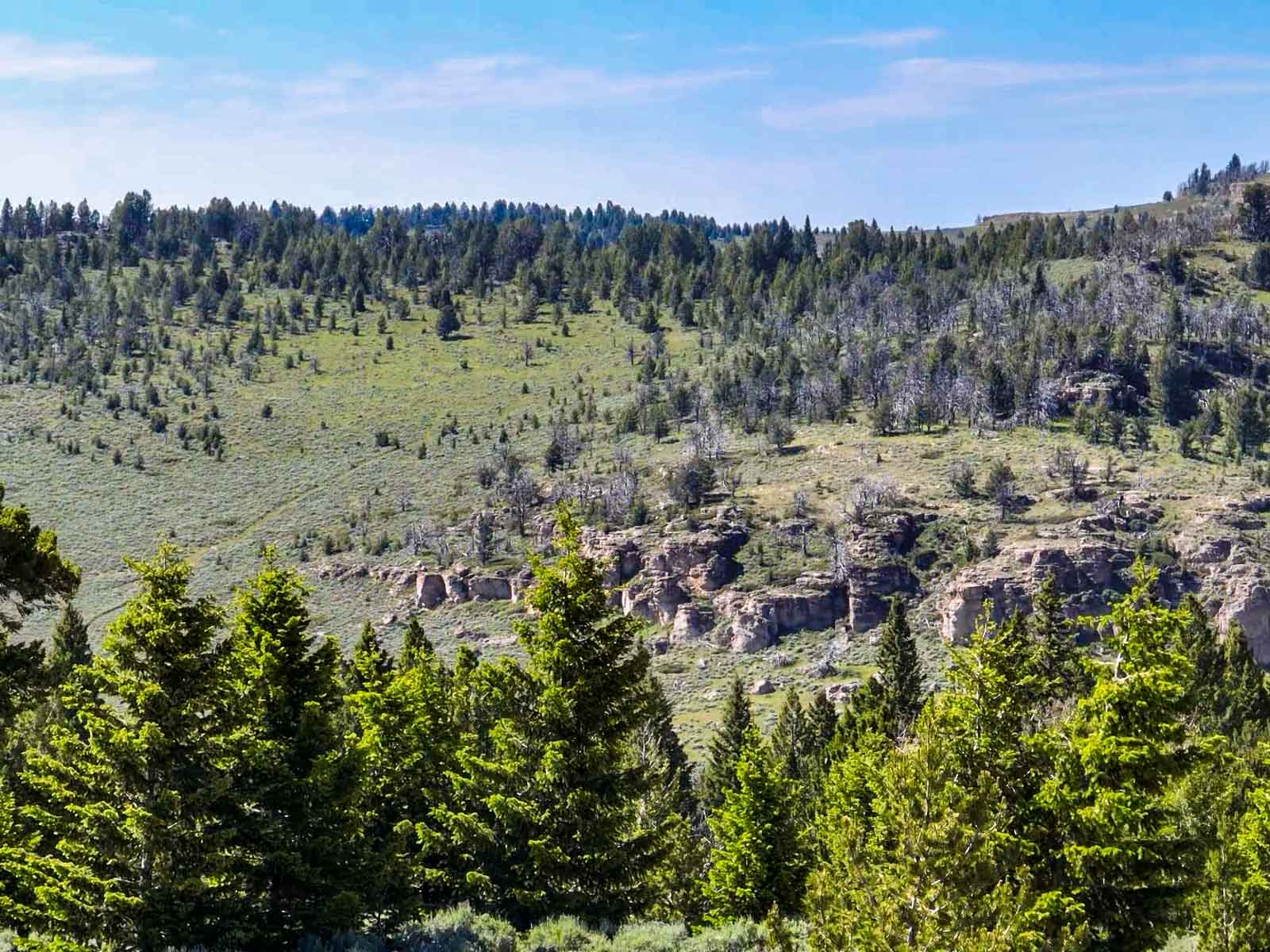 Indart Ranch property picture 25 of 50