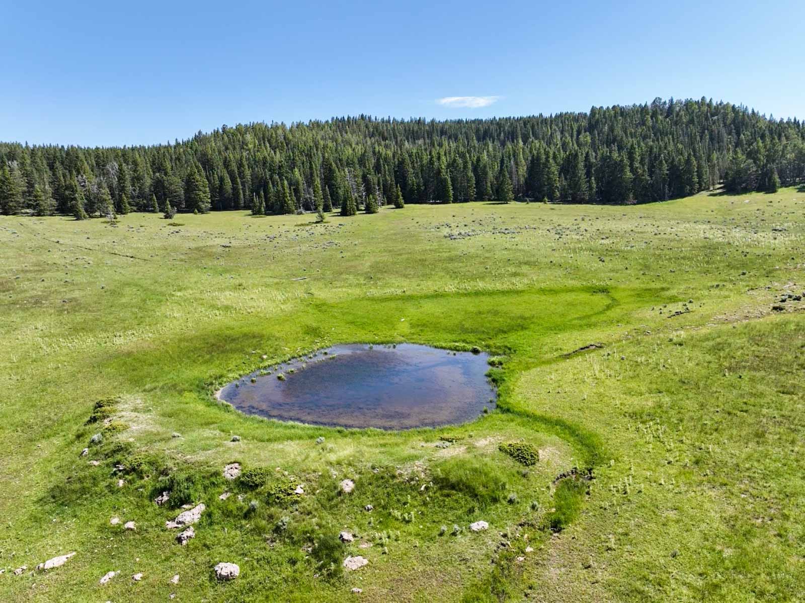 Indart Ranch property picture 16 of 50