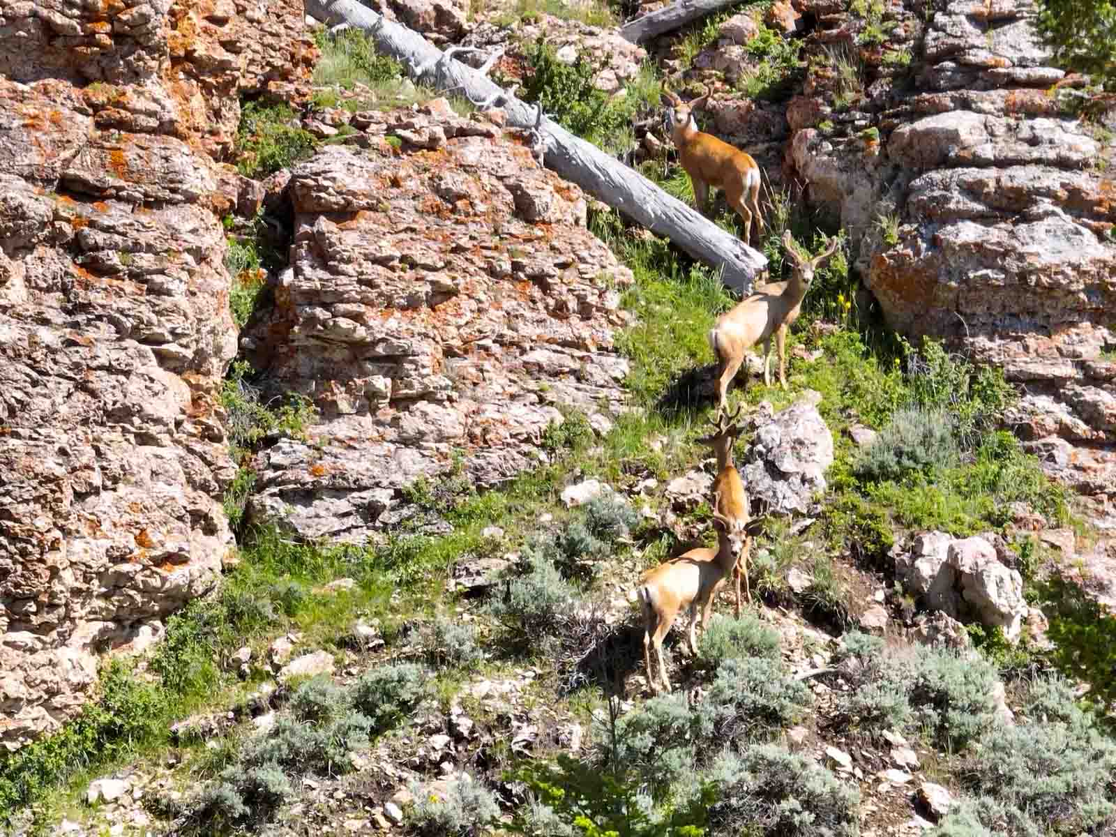 Indart Ranch property picture 38 of 50