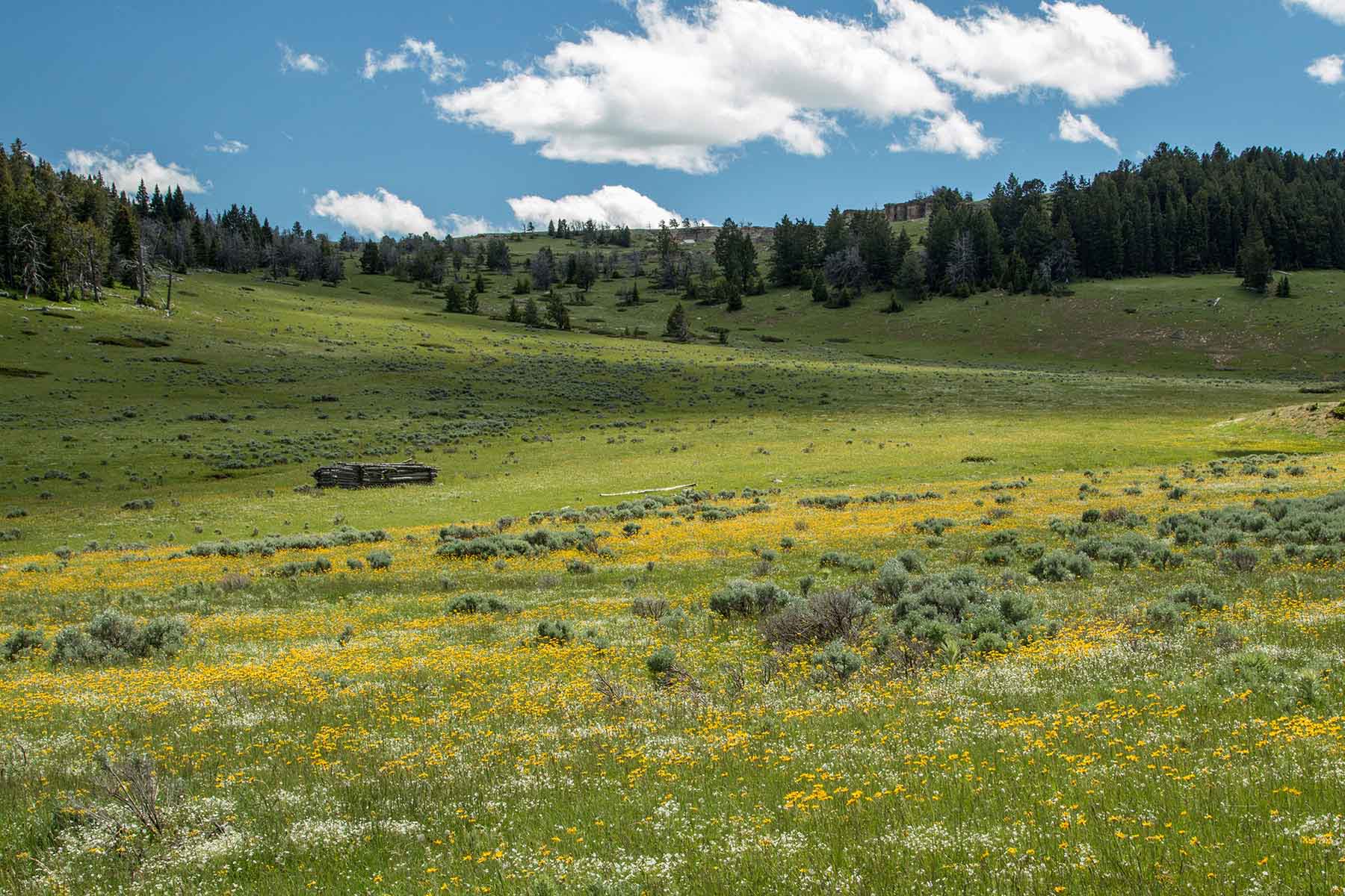 Indart Ranch property picture 3 of 50