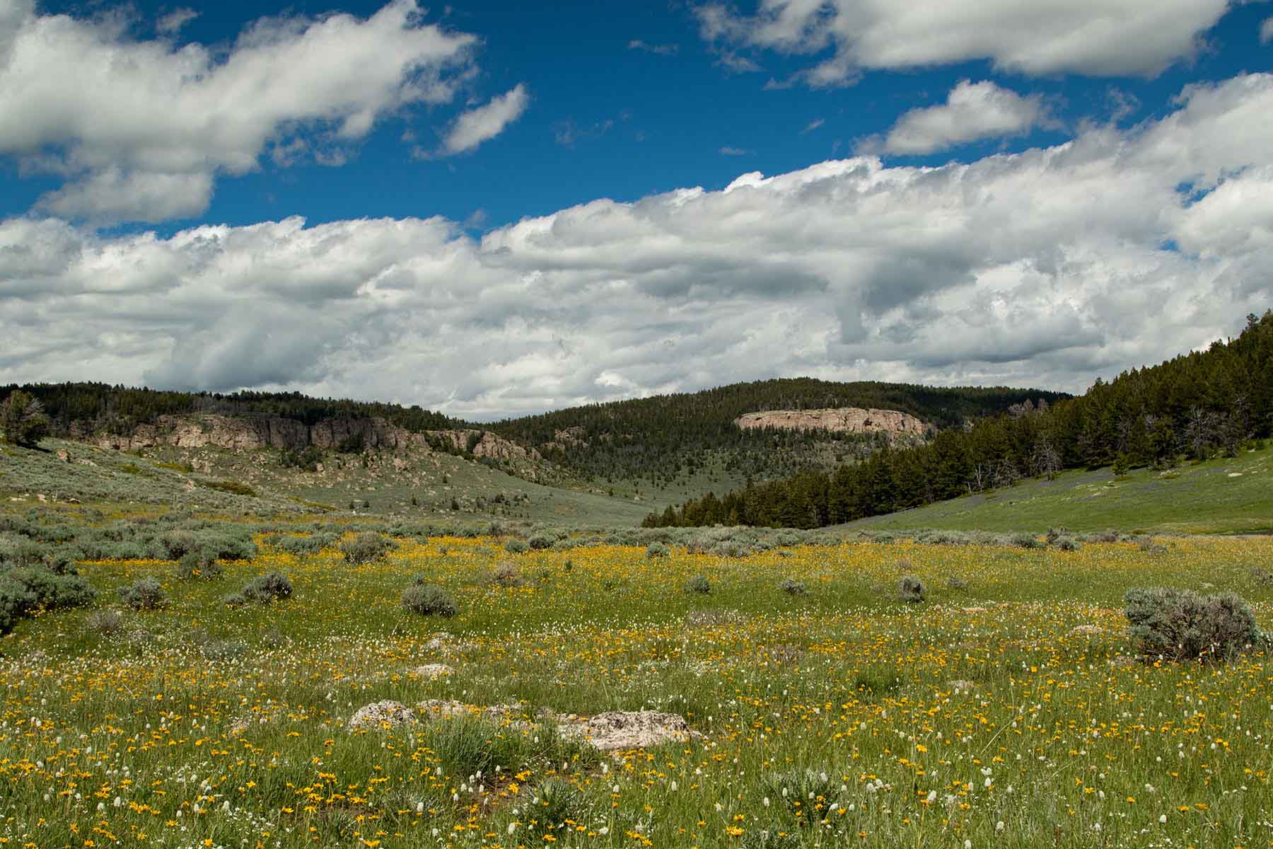 Indart Ranch property picture 4 of 50