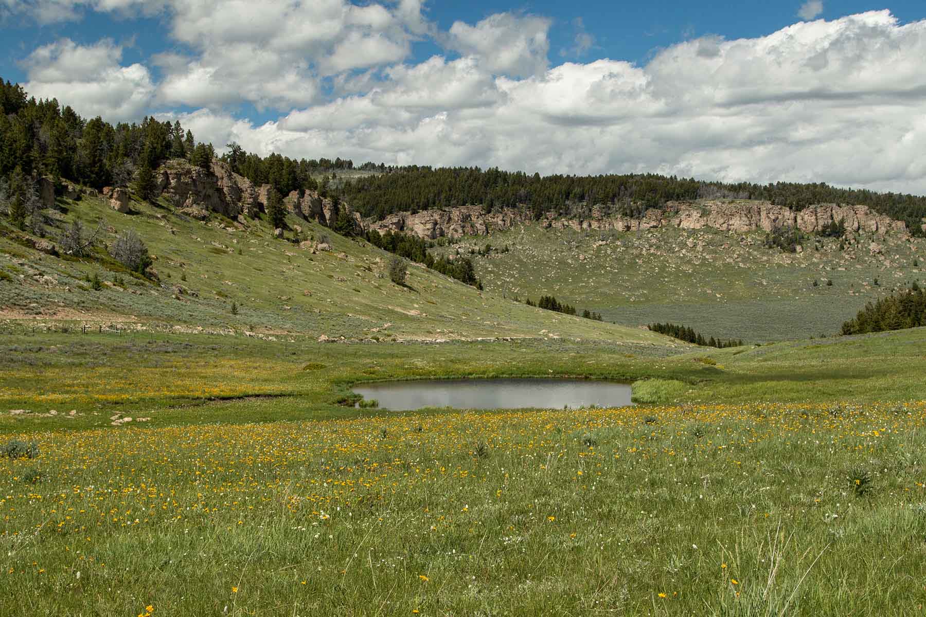 Indart Ranch property picture 5 of 50